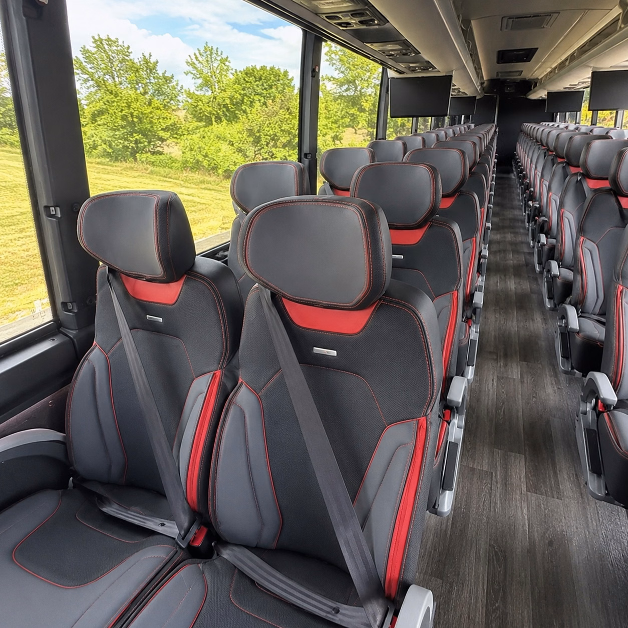 comparing warren buses made simple